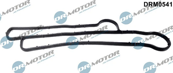 DRM0541 Lizarte