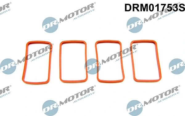 DRM01753S Lizarte