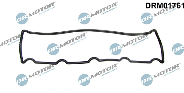 DRM01761 Lizarte