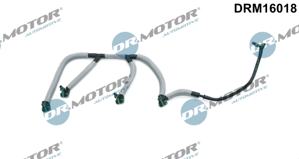 DRM16018 Lizarte