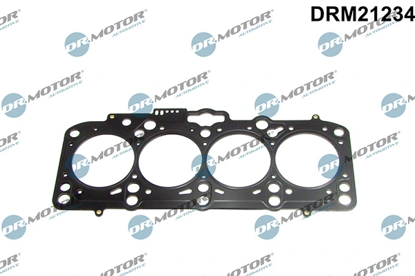 DRM21234 Lizarte