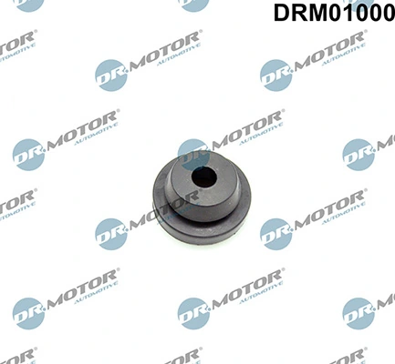 DRM01000 Lizarte