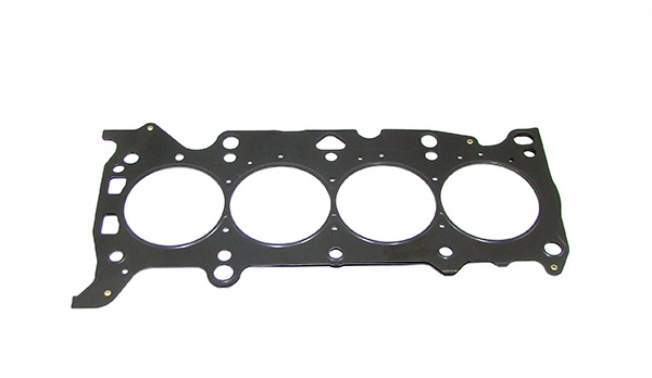 DRM8201 Lizarte