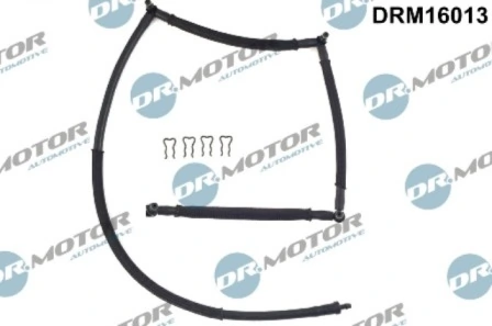 DRM16013 Lizarte