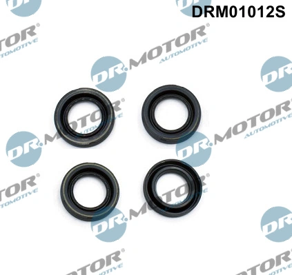 DRM01012S Lizarte