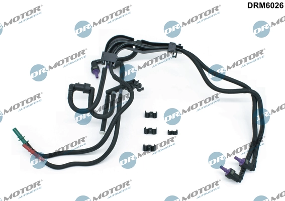 DRM6026 Lizarte