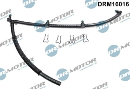 DRM16016 Lizarte