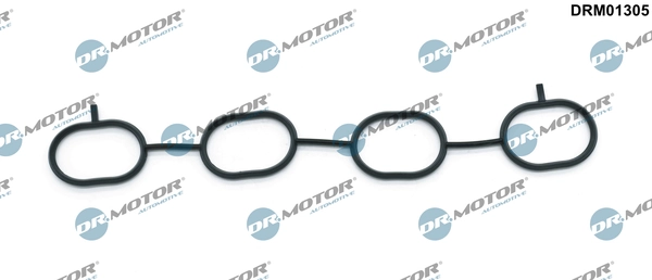DRM01305 Lizarte