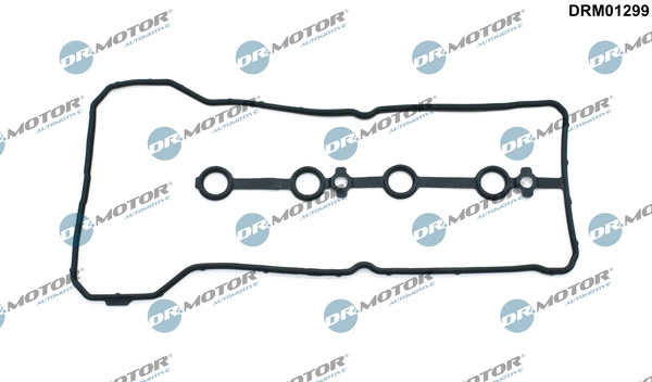 DRM01299 Lizarte