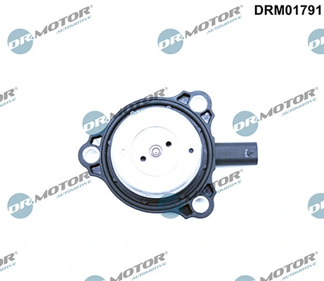 DRM01791 Lizarte