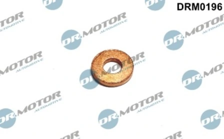 DRM0196 Lizarte