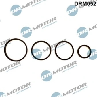 DRM052 Lizarte