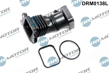 DRM0138L Lizarte