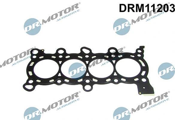 DRM11203 Lizarte