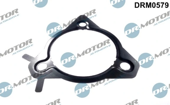 DRM0579 Lizarte