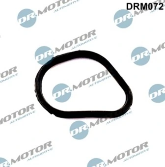 DRM072 Lizarte