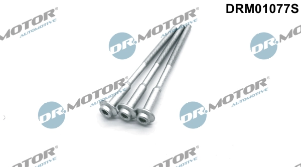 DRM01077S Lizarte