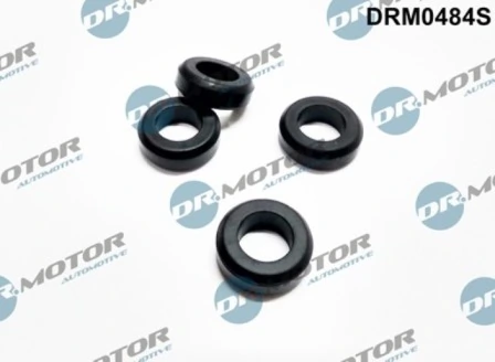 DRM0484S Lizarte