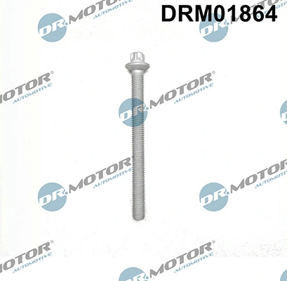 DRM01864 Lizarte