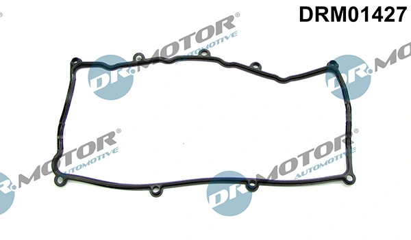 DRM01427 Lizarte