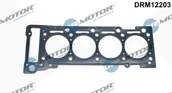 DRM12203 Lizarte