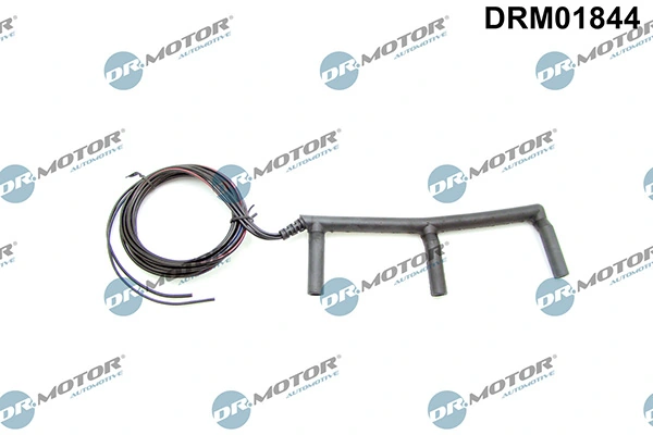 DRM01844 Lizarte