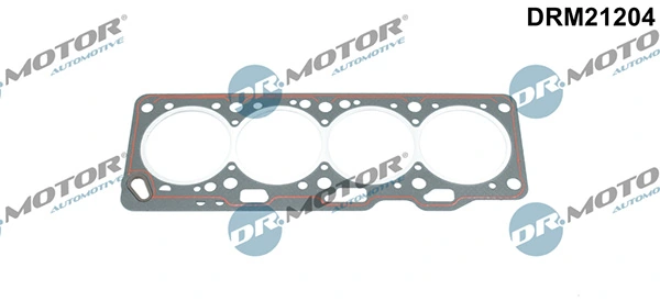 DRM21204 Lizarte