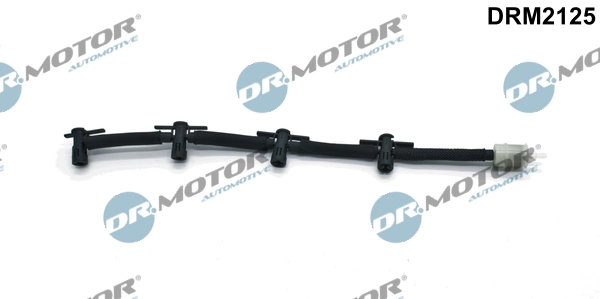 DRM2125 Lizarte