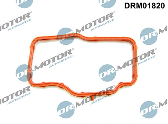DRM01820 Lizarte