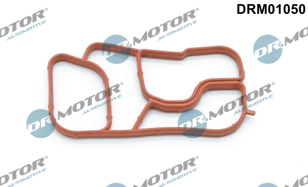DRM01050 Lizarte