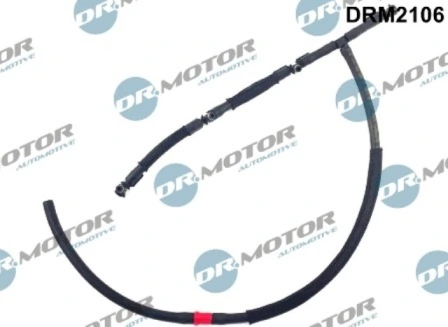 DRM2106 Lizarte