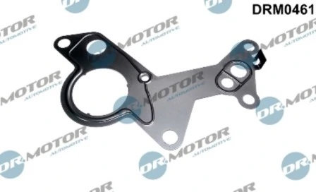 DRM0461 Lizarte