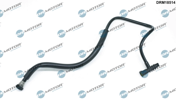 DRM18514 Lizarte