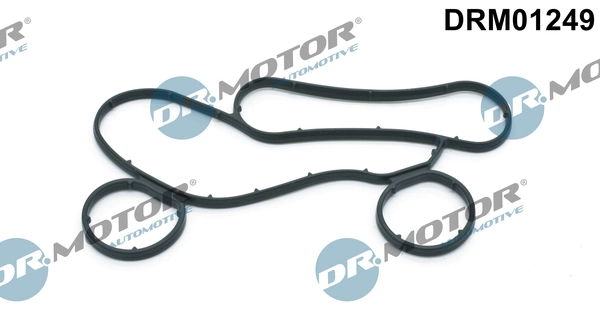 DRM01249 Lizarte