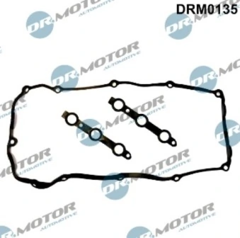 DRM0135 Lizarte