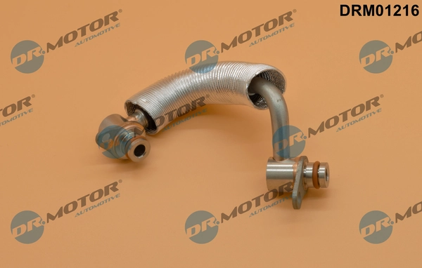 DRM01216 Lizarte