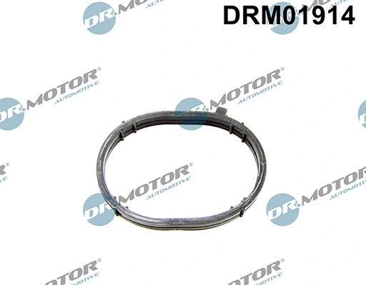 DRM01914 Lizarte