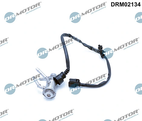 DRM02134 Lizarte