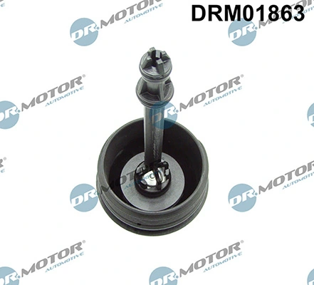DRM01863 Lizarte