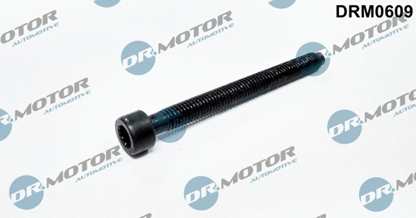 DRM0609 Lizarte