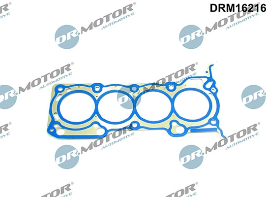 DRM16216 Lizarte