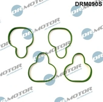 DRM090S Lizarte