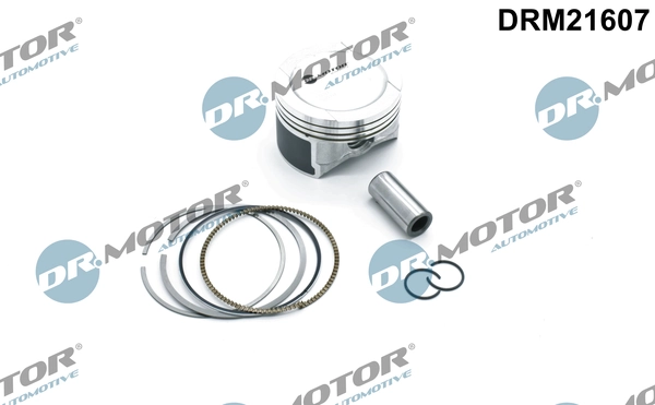 DRM21607 Lizarte