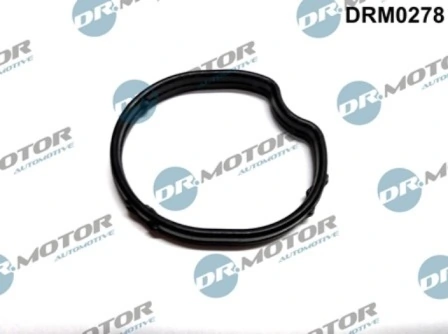 DRM0278 Lizarte