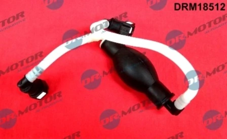 DRM18512 Lizarte