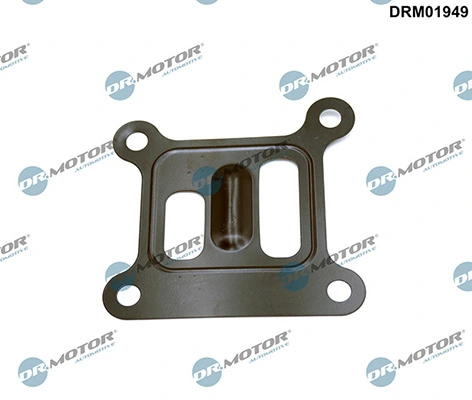 DRM01949 Lizarte