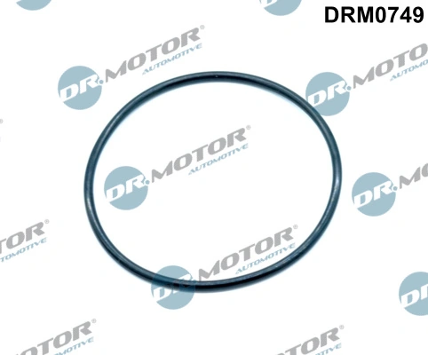 DRM0749 Lizarte