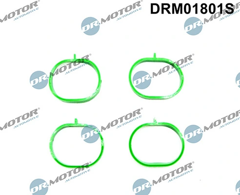 DRM01801S Lizarte