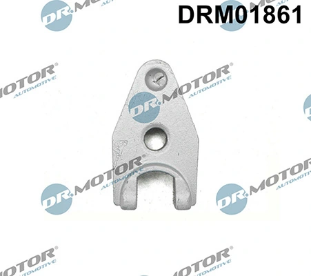 DRM01861 Lizarte