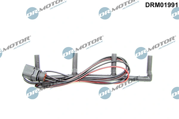 DRM01991 Lizarte